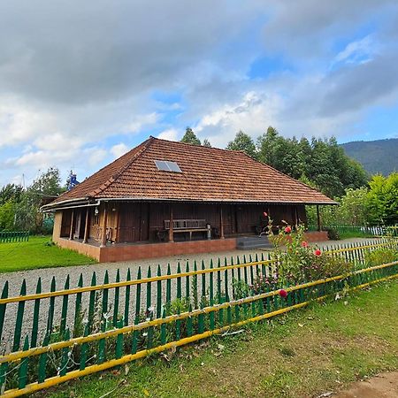 Nature Castle -Traditional Villa,Vattavada Kottakamboor 外观 照片